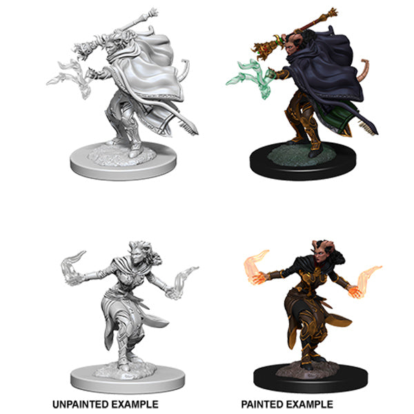 D&D Mini - Assorted Ancestries - Brazos Valley Hobby & Games