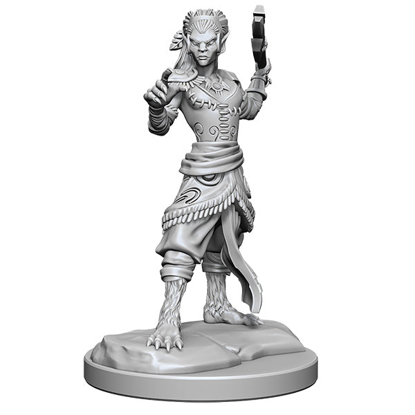 D&D Mini - Assorted Ancestries - Brazos Valley Hobby & Games