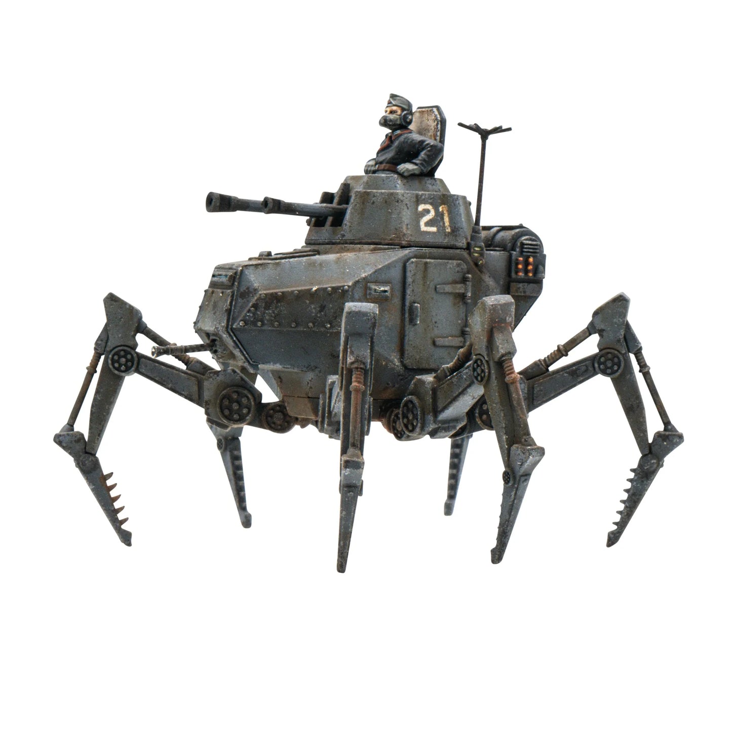 Vogelspinne Light Walker - Brazos Valley Hobby & Games