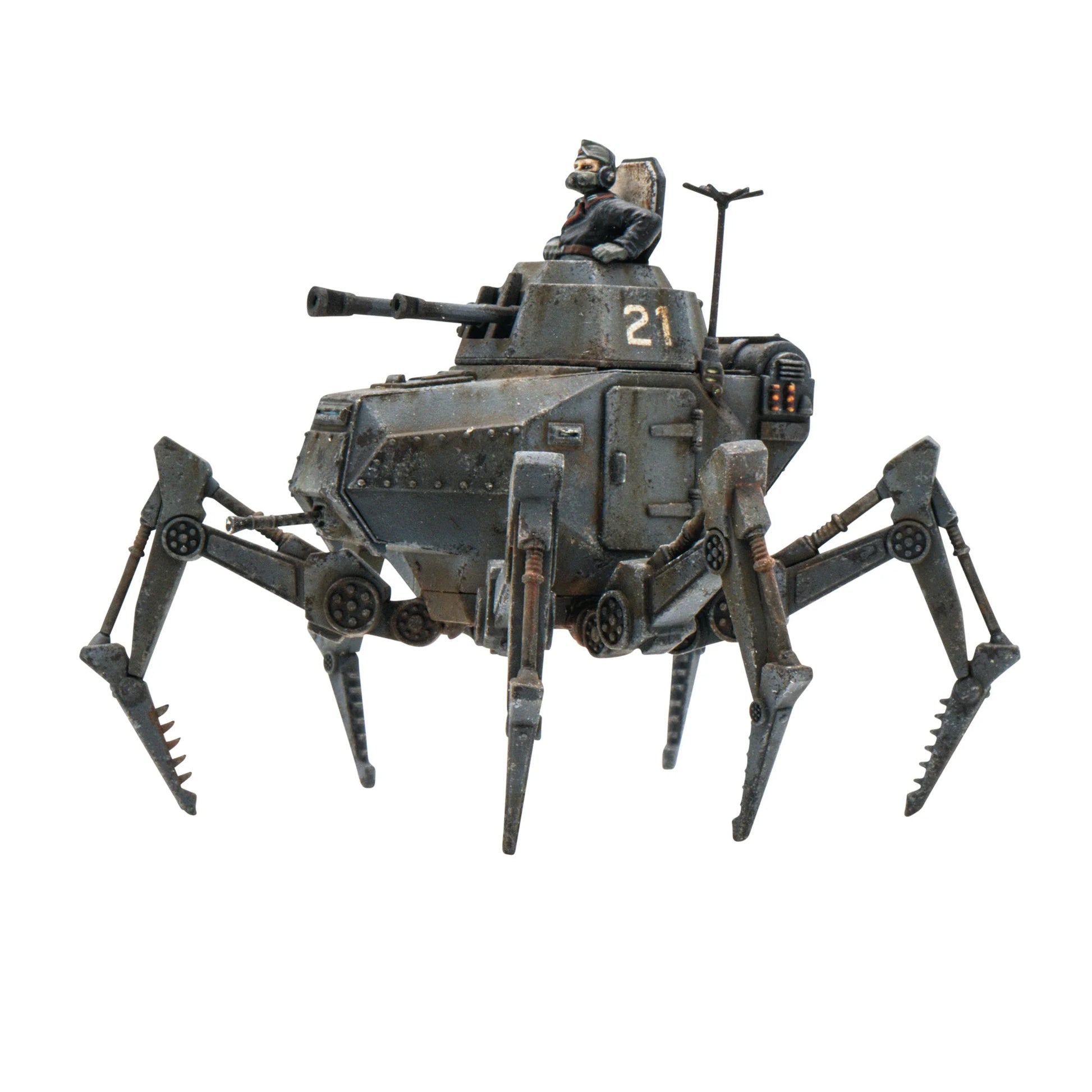 Vogelspinne Light Walker - Brazos Valley Hobby & Games