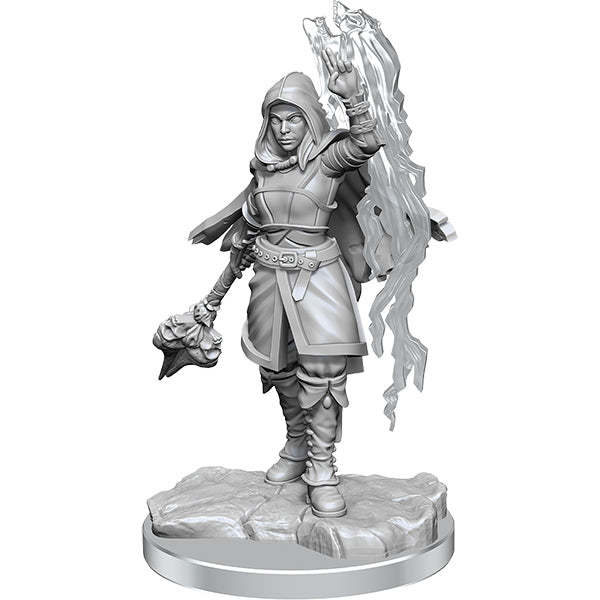 D&D Minis - Elves & Half-Elves - Brazos Valley Hobby & Games