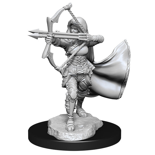 D&D Mini - Assorted Ancestries - Brazos Valley Hobby & Games