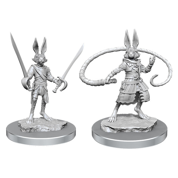 D&D Mini - Assorted Ancestries - Brazos Valley Hobby & Games