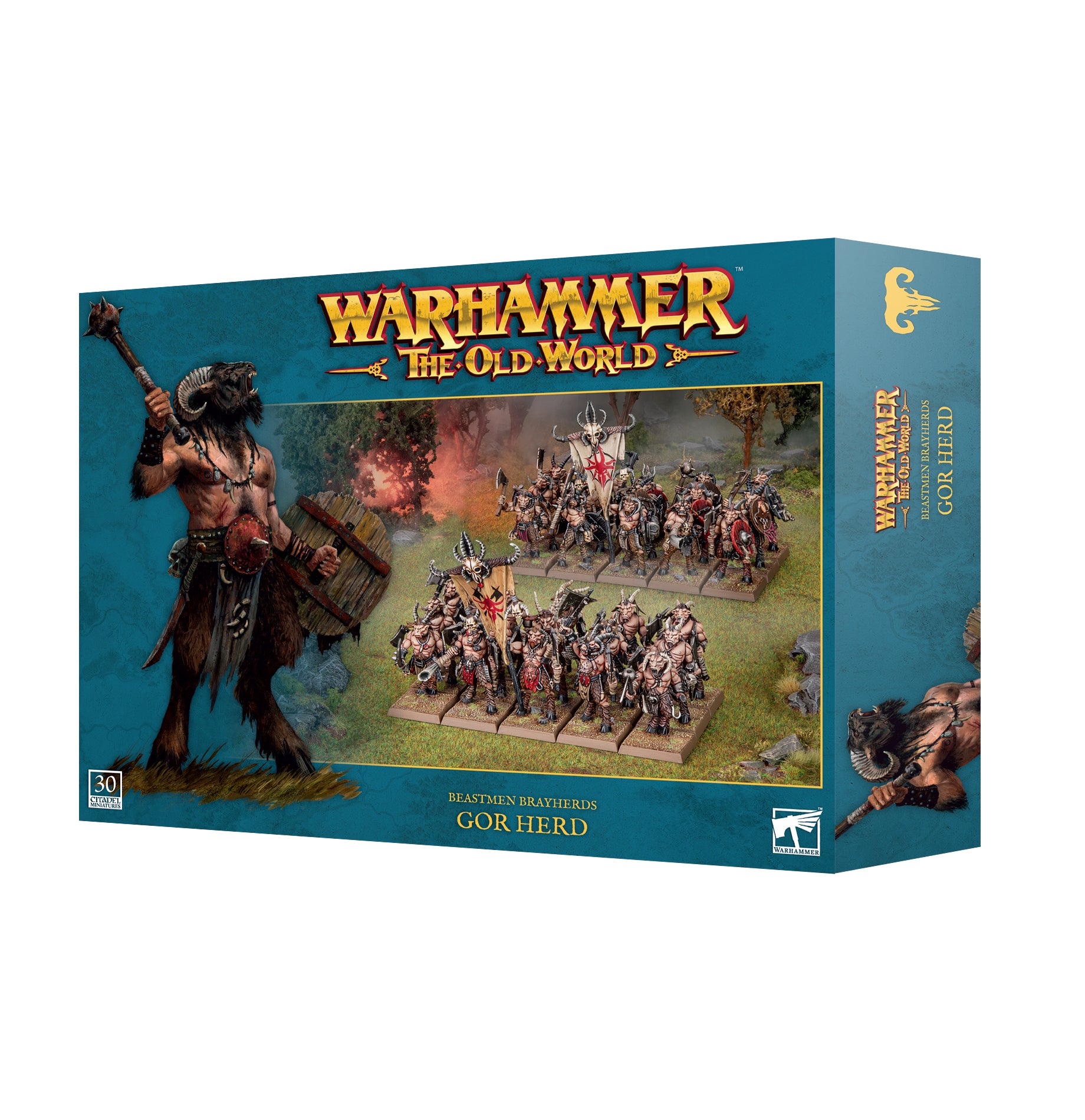 Box for Warhammer - The Old World Beastmen Brayfields mini figures. 
