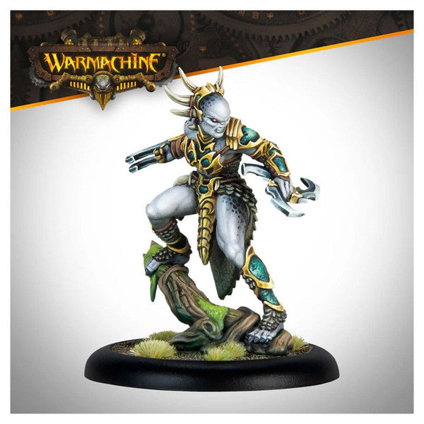 Warmachine: Characters - Brazos Valley Hobby & Games